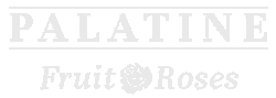 Palatine-roses-logo-white